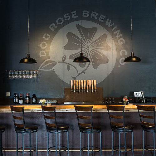 Dog Rose Brewing