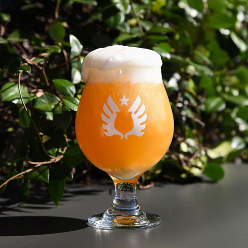 hazy ipa with greenery background