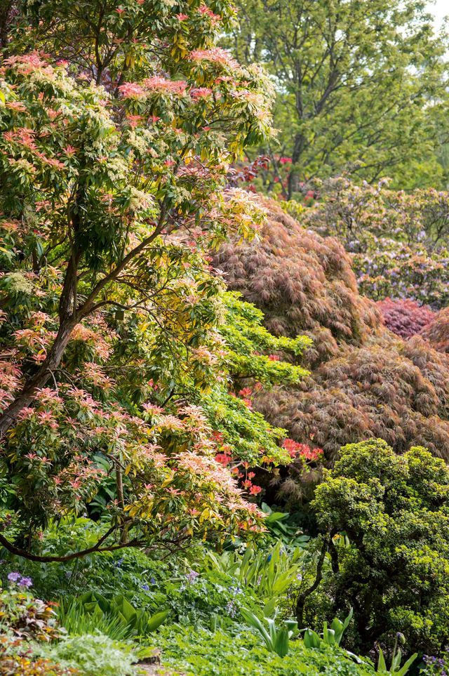 Le simple fait de couvrir la terre offre une protection et une nourriture inestimables aux différentes plantations, de quoi leur permettre de supporter la saison froide.