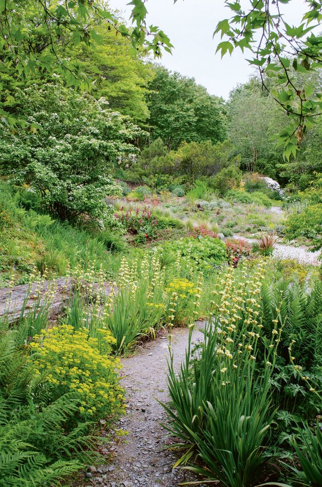 Les plantes vivaces survivent sans problème à l'arrivée de la saison froide si elles sont bien enracinées, mais aussi protégées par un paillage naturel.