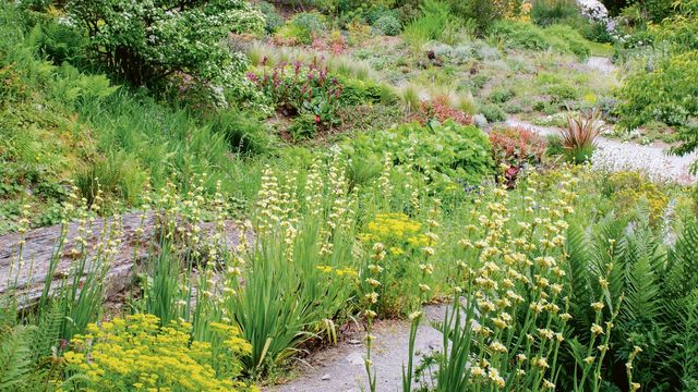 Préparer le jardin pour l'automne-hiver