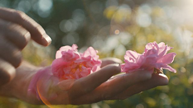 Inside the Dream : le film qui révèle la création d'un grand parfum Dior
-
En photo : dans l'ombre des oliviers et la douce brise provençale, le Château de La Colle Noire devient le sanctuaire où l'histoire du parfum s'écrit. Un lieu empreint de l'élégance intemporelle de Christian Dior, capturé dans chaque souffle de vent et chaque note florale.