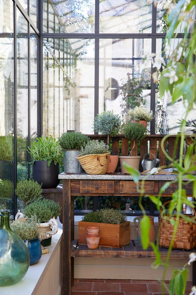 Quelles plantes pour un jardin d'hiver ?