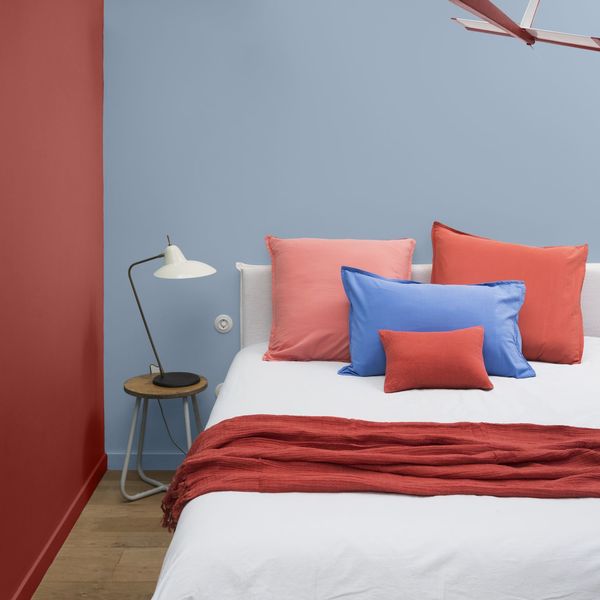 Duo en rouge et bleu dans une chambre de caractère