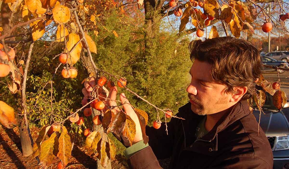 fullsteam brewing urban foraging beer