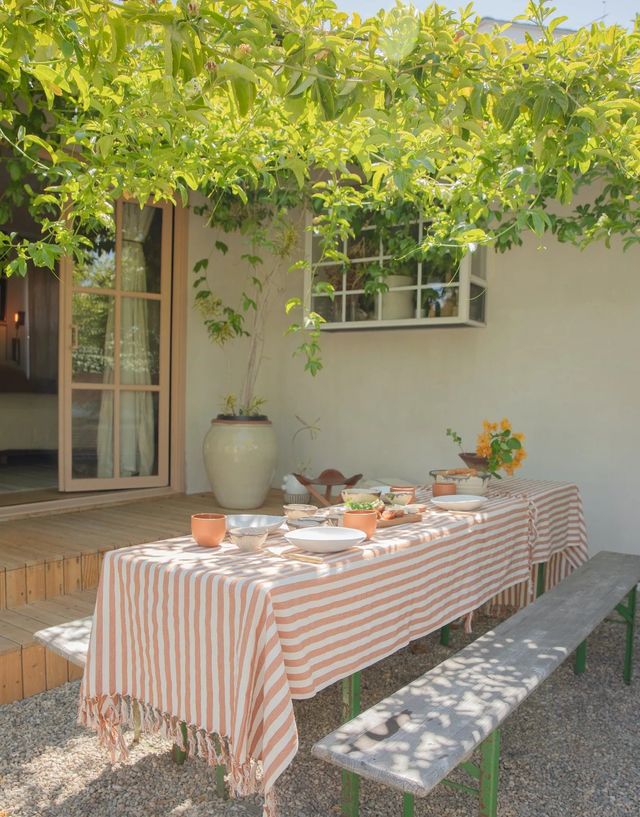 Le feuillage dense de cette plante grimpante a esquissé une véritable toile d'ombrage sous laquelle la table s'est naturellement installée, profitant de la fraîcheur apportée par une végétation dense.