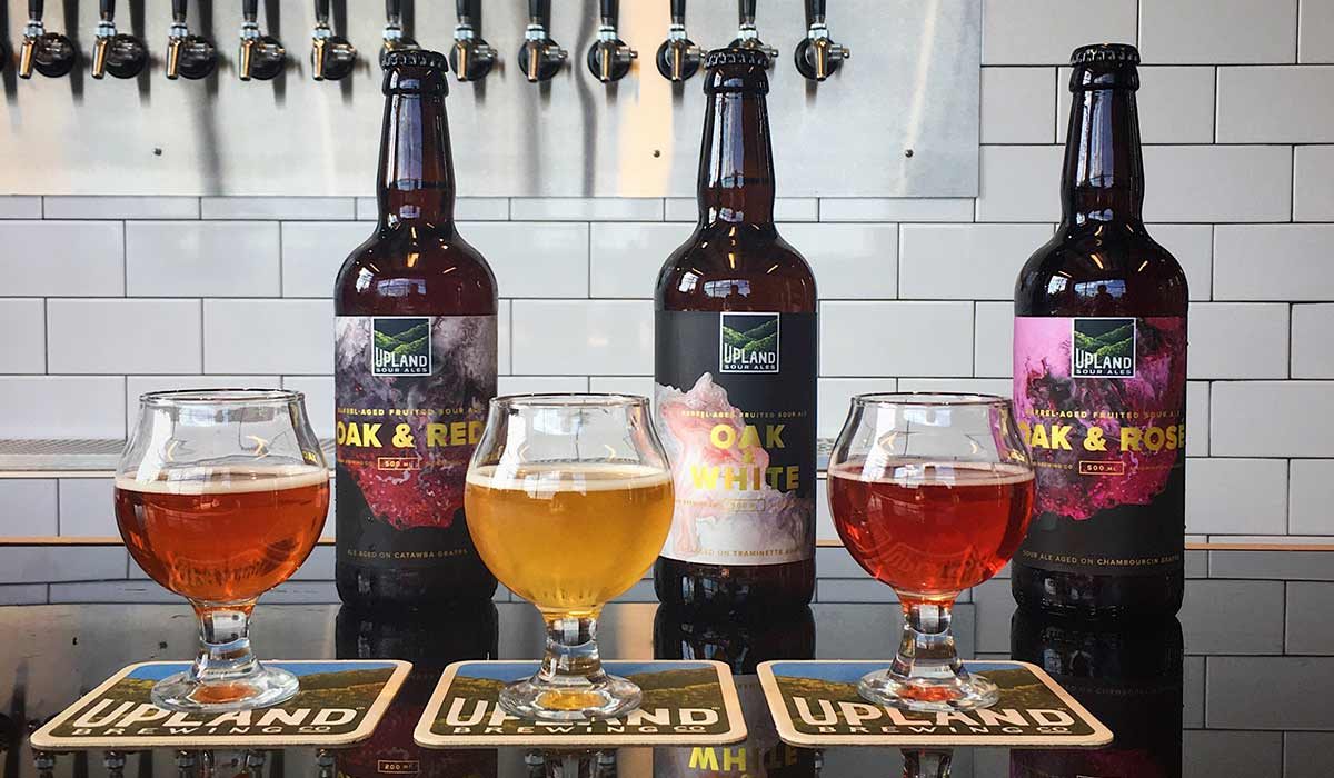 upland brewing rosé beers